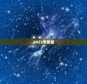 2023天降星，2023年世界巨星