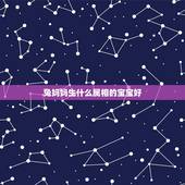 兔妈妈生什么属相的宝宝好，兔爸爸猪妈妈生什么生肖宝宝好