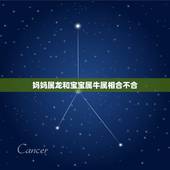 妈妈属龙和宝宝属牛属相合不合，属牛和属龙相克吗