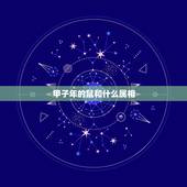 甲子年的鼠和什么属相，甲子鼠是五行中属什么？