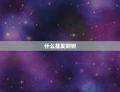什么是发财树，什么是发财树