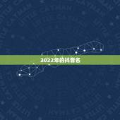 2022年的抖音名，2023年抖音名字