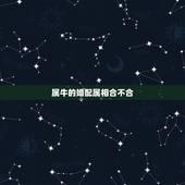属牛的婚配属相合不合，属牛的和什么属相最配 属牛的属相婚配表