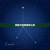 狗配牛的婚姻怎么样，狗配牛的婚姻怎么样