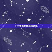 十二生肖配偶最佳选择，十二生肖姻缘配对