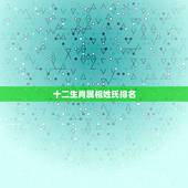 十二生肖属相姓氏排名，有谁知道：十二生肖各生肖代表的人物，姓氏？谢谢