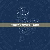 三合和六个合生肖是什么意思 生肖蛇2022年两喜缠身