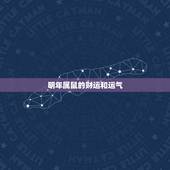 明年属鼠的财运和运气，十二生肖每月运势