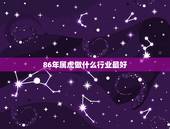 86年属虎做什么行业最好，1986年属虎人男士适合创业的行业
