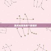 属虎和属兔哪个属相好，属虎和什么属相最配