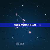 夫妻是注定的还是巧合，两个人能成为夫妻，是不是早就已经注定了？