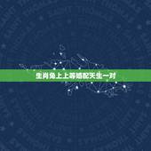 生肖兔上上等婚配天生一对，生肖兔与什么生肖最配对？什么生肖最旺兔？