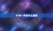 87年一月份什么属相，87年1月28日属什么生肖？什么星座？