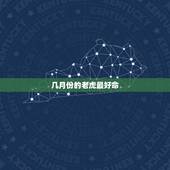 几月份的老虎最好命，属虎的几月出生最好