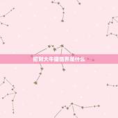 招财大牛猫临界是什么，招财大牛猫老婆为什么叫后妈？