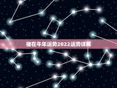 猪在牛年运势2022运势详解，属猪人未来三年运势