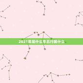 2021年是什么牛五行属什么，2021年五行属什么，缺什么