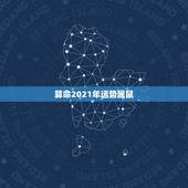 算命2021年运势属鼠，2021年生肖鼠的全年运势