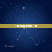 1985年属牛是什么命，85年属牛一生三大劫难