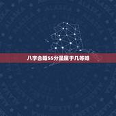 八字合婚55分是属于几等婚，八字合婚多少分可以为婚啊？