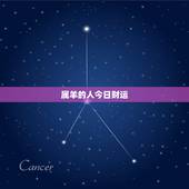 属羊的人今日财运，今天属羊的财运怎样？