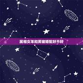 属相女羊和男猪婚配好不好，属相婚配女羊配什么男属相