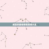 属鼠的最佳婚配属相大全，属鼠的属相婚配表 男女属鼠的和什么属相最配