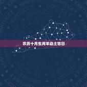 农历十月生肖羊动土吉日，万年历农历查询动土