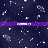 属鼠的是什么金，属相金鼠是哪一年的