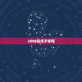 2008是戊子年吗，康熙戊子年是哪一年