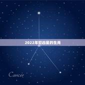 2022年犯凶星的生肖，犯凶星的属相是什么