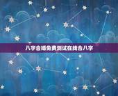 八字合婚免费测试在线合八字，八字合婚，生辰八字配对，八字合婚免费测试，