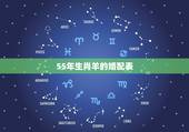 55年生肖羊的婚配表，男属羊55年生女属马66年生婚配如何？