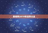 属相狗2019年运势大全，属狗2017年运势及运程