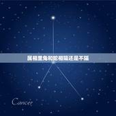 属相里兔和蛇相隔还是不隔，兔和蛇配吗