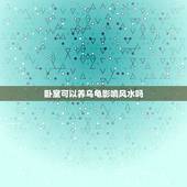 卧室可以养乌龟影响风水吗，在房间养乌龟影响风水？