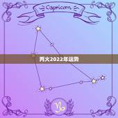 丙火2022年运势，2022年属猪人的全年运势