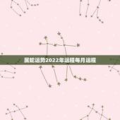 属蛇运势2022年运程每月运程，属蛇运势2022 属蛇