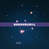 属虎本命年要注意什么，2022年属虎的本命年好不好