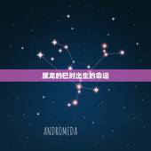 属龙的巳时出生的命运，成时属龙男孩