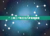 二零二一年三十八岁是啥属相，今年三十八虚岁的人是什么属相几几年的生人