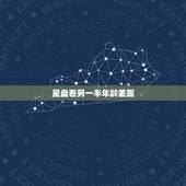 星盘看另一半年龄差距，{占星}跪求看个人星座排盘，想看婚姻配偶，能否看