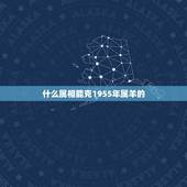 什么属相能克1955年属羊的，属羊和什么属相相克
