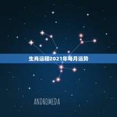 生肖运程2021年每月运势，2021年12生肖每月运势详解