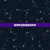 属相狗与属相鼠相克吗，属相狗跟鼠相配吗