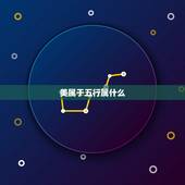 美属于五行属什么，“美”为什么是五行属水