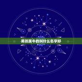 男孩属牛的叫什么名字好，属牛的男孩起什么名好