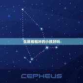 生属相相冲的小孩好吗，属相相克吗？几月份生宝宝好