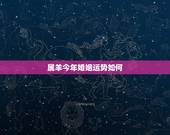 属羊今年婚姻运势如何，属羊2017年运势及运程