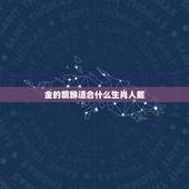 金的貔貅适合什么生肖人戴，什么人适合佩戴貔貅？什么属相适合带貔貅？